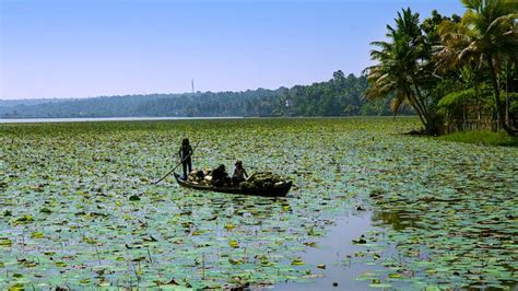 villeyani|Vellayani Lake